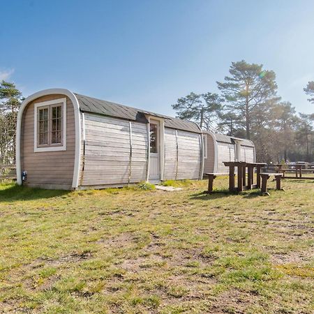 Naturcamping Lüneburger Heide - Chalets&Tiny Häuser Soltau Exterior foto